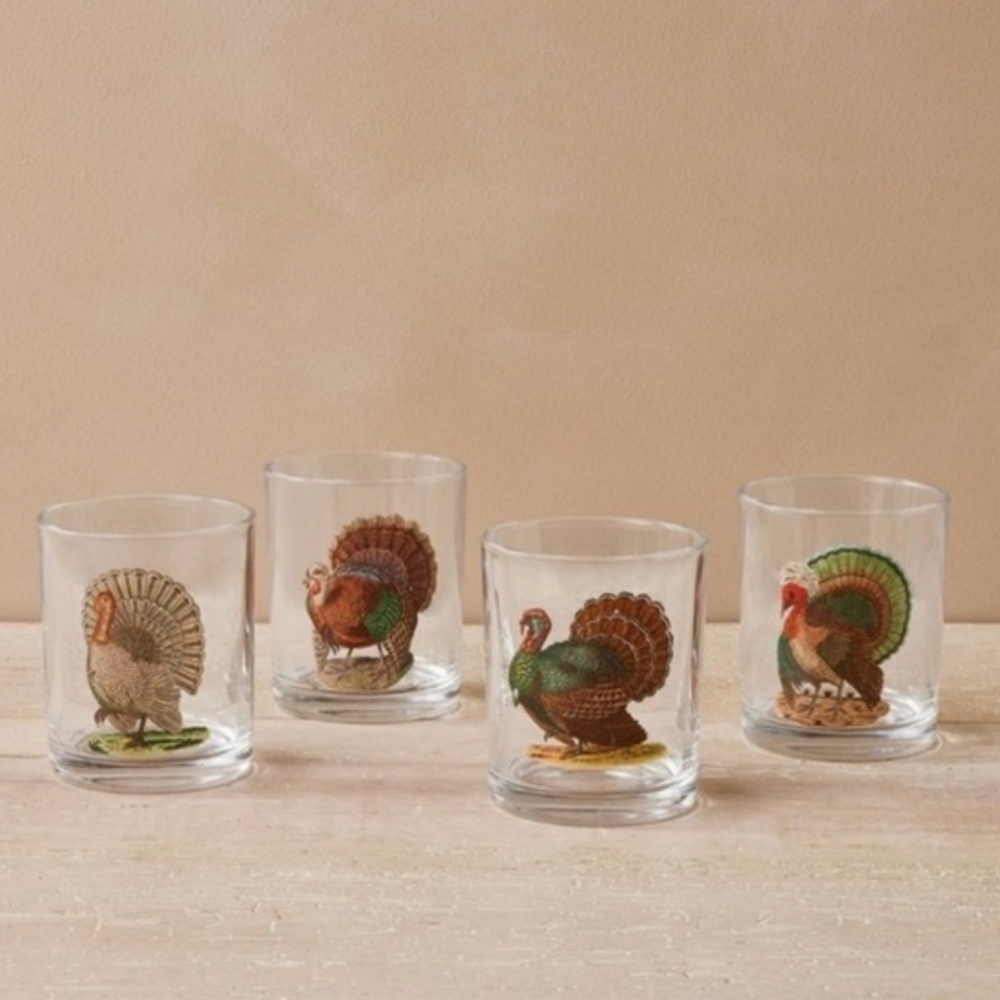 NEW IN BOX John Derian Turkey Cocktail Glasses Set Of 4